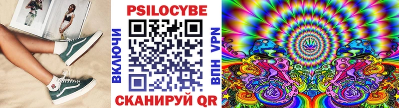Псилоцибиновые грибы Psilocybe Туринск